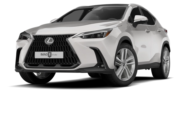 LEXUS NX 250