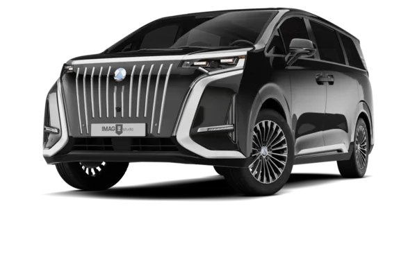 DENZA D9