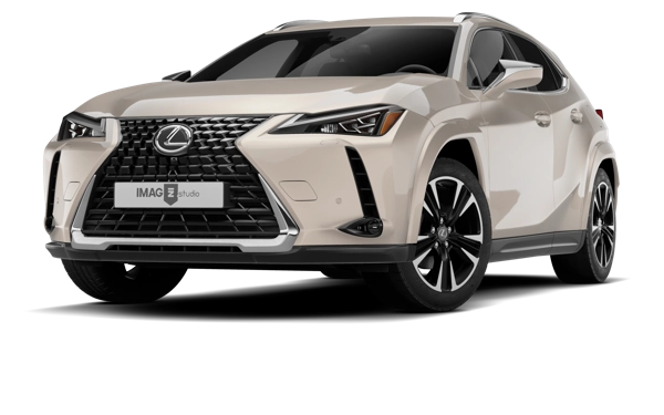 LEXUS UX250H