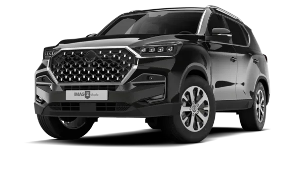SSANG YONG REXTON