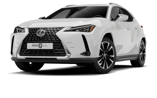 LEXUS UX250H
