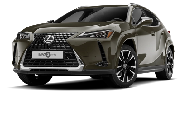 LEXUS UX250H