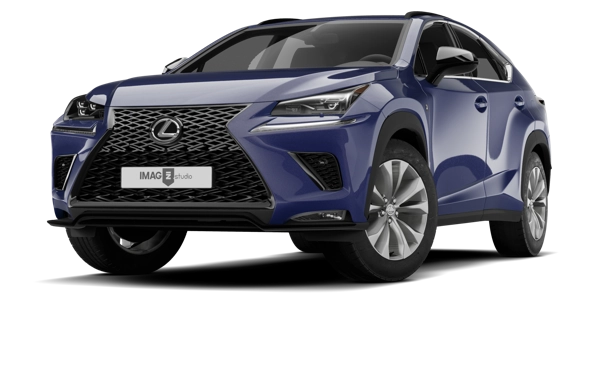 LEXUS NX 300
