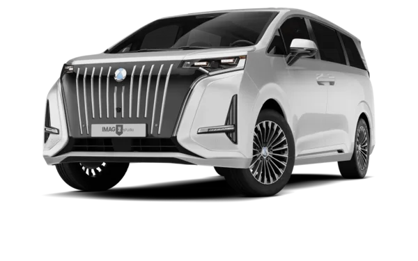 DENZA D9