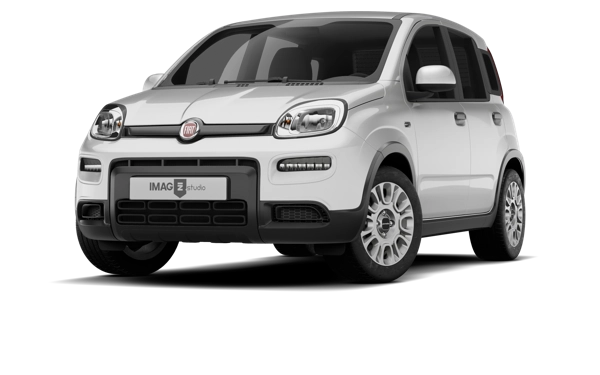 FIAT TOLENTO