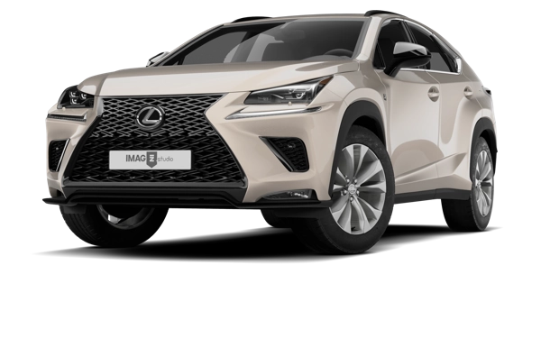 LEXUS NX 300