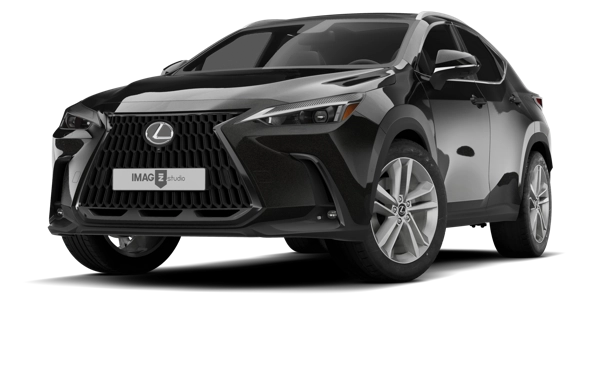 LEXUS NX 250