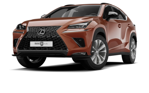 LEXUS NX 300H