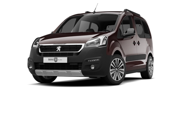 PEUGEOT PARTNER TEPEE