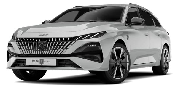 PEUGEOT 309