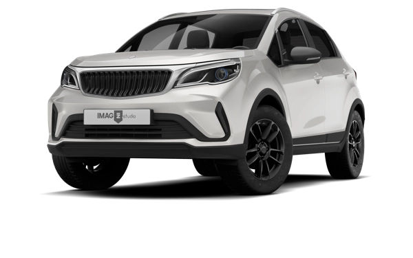 LIFAN LF200-10L