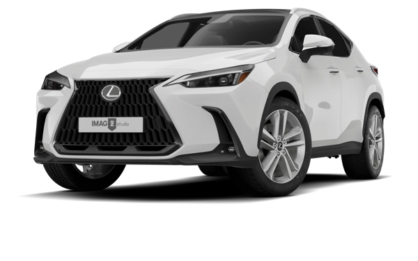 LEXUS NX 250