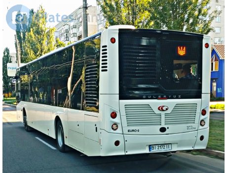 GULERYUZ ECOLINE 12